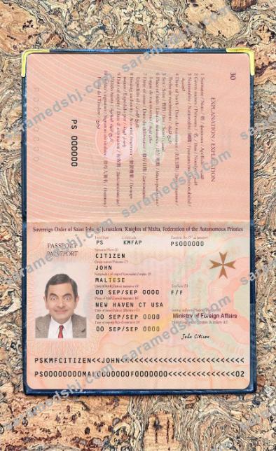 Malta passport 2019-present photo look